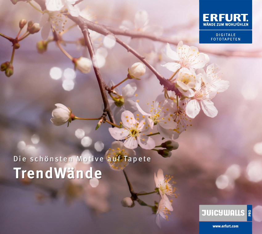 INHALT-TrendWaende-Erfurt-0323